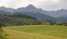 TBD County Rd 5 Ridgway, CO 81432