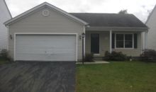 7909 Black Willow Drive Blacklick, OH 43004