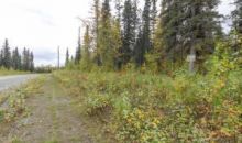 3990 N Fireweed Fields Drive Wasilla, AK 99654