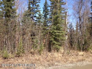 7831 W Tolson Avenue, Wasilla, AK 99654