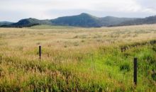 TBD 342 Road Silt, CO 81652