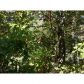 10 Placer Drive, Dahlonega, GA 30533 ID:10941675