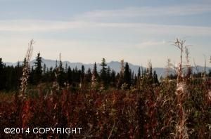 Tr 1B2 Skyline Drive, Homer, AK 99603