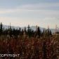 Tr 1B2 Skyline Drive, Homer, AK 99603 ID:11019192