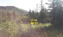 L5A B2V Jamie Avenue Anchorage, AK 99516