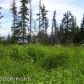 50855 Mountain Glacier Court, Homer, AK 99603 ID:11054401