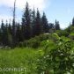 50855 Mountain Glacier Court, Homer, AK 99603 ID:11054403