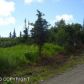 50855 Mountain Glacier Court, Homer, AK 99603 ID:11054405