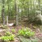 986 Big Creek Road, Blue Ridge, GA 30513 ID:10808551