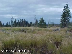 L62A Whitney Street, Homer, AK 99603