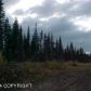 L62A Whitney Street, Homer, AK 99603 ID:11068479