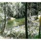 0 Soque Falls Drive, Clarkesville, GA 30523 ID:10812404