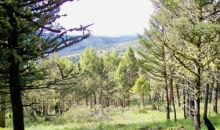 Lot 1 Butler Hill White Sulphur Springs, MT 59645