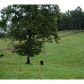 1726 Howser Mill Road, Dawsonville, GA 30534 ID:10554784