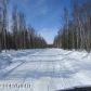 12094 W Hazel Avenue, Wasilla, AK 99654 ID:11152374