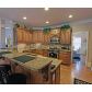 9 Grey Swan Way, Dawsonville, GA 30534 ID:11156721