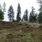 2269 Marble Valley Basin Road, Addy, WA 99101 ID:11168634