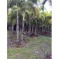 20855 SW 234 ST, Homestead, FL 33031 ID:11193985