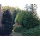 1257 Sailwind Court, Buford, GA 30518 ID:10806966