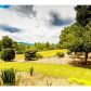 5962 Burnt Mountain Road, Ellijay, GA 30536 ID:11236702