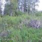 21952 E Doreen Circle, Palmer, AK 99645 ID:10860260