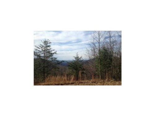 30 Acres Clearview Drive, Talking Rock, GA 30175