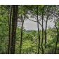 56 Riverbend Trail, Ellijay, GA 30540 ID:11275463