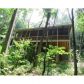 131 Frosty Mountain, Ellijay, GA 30536 ID:11277918