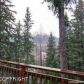 237 Donner Drive, Girdwood, AK 99587 ID:11240508