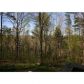 105 Panners Road, Dahlonega, GA 30533 ID:11282344