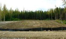 L7 B2 W Leighton Circle Wasilla, AK 99654