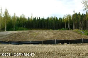 L1 B2 W Midnight Sun Circle, Wasilla, AK 99654