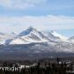 11483 DISCOVERY VIEW Drive, Anchorage, AK 99515 ID:11235455