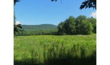 1328 Chandler Rd Chester, VT 05143