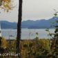 000 E Hill Road, Homer, AK 99603 ID:11360662