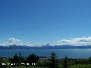 380 Paintbrush Street, Homer, AK 99603