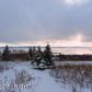 380 Paintbrush Street, Homer, AK 99603 ID:11121798