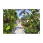 12880 MAPLE RD, Miami, FL 33181 ID:11345880