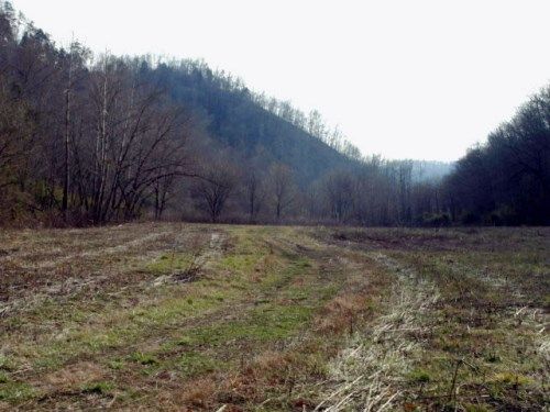 1198.29 Ac. McCormick Ridge Rd, Red Boiling Springs, TN 37150