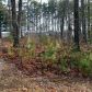 211 Wildflower Trail, Dawsonville, GA 30534 ID:11403884