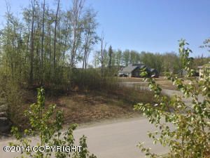 1141 N Elkhorn Drive, Wasilla, AK 99654