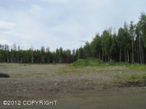 1991 W Lake Lucille Drive, Wasilla, AK 99654