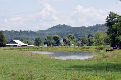 400 acres Taylor Rd, Rutledge, TN 37861