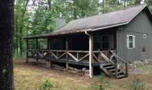 207 Black Ankle Way Blue Ridge, GA 30513