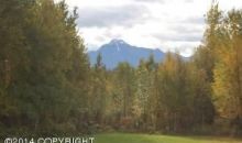 Lot 3 N Britchenstrap Drive Palmer, AK 99645