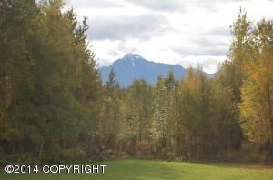 Lot 3 N Britchenstrap Drive, Palmer, AK 99645