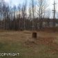 5401 E Alder Drive, Wasilla, AK 99654 ID:11207976