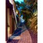 8430 HARDING AV # 8, Miami Beach, FL 33141 ID:11344411