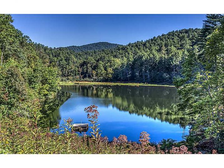 305 Cohutta Wilderness Trail, Ellijay, GA 30540