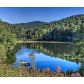 305 Cohutta Wilderness Trail, Ellijay, GA 30540 ID:11385574